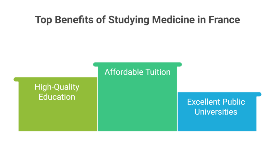 How Much Does It Cost To Study Medicine In France For International how-much-does-it-cost-to-study-medicine-in-france-for-international