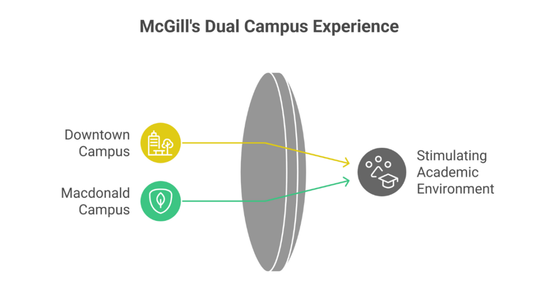 Tuition and Fee Structure of McGill University Canada and Courses at McGill for Indian Students 3 fee structure of mcgill university canada 3