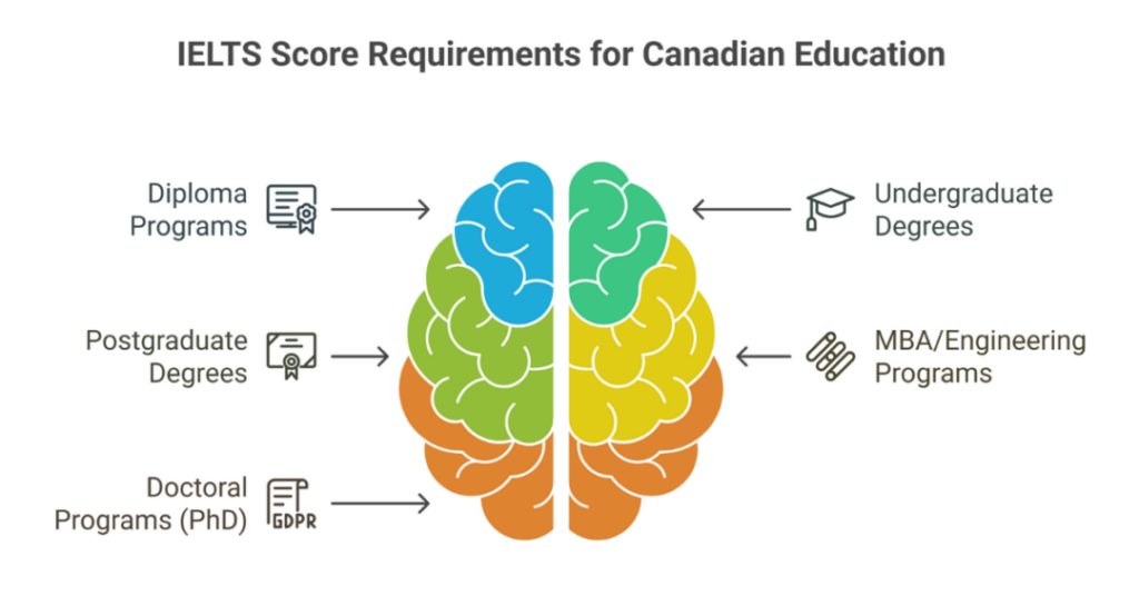 10 Best Universities Accepting IELTS in Canada for Indian Students 2 universities accepting ielts in canada 2
