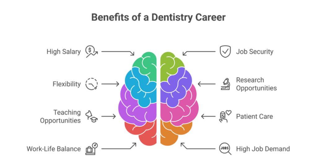 how to study dentistry in usa 2